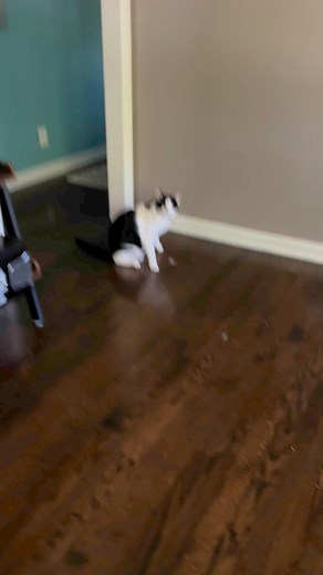 34K views · 1.5K reactions | This bloopers everything | Willy Wonky & Charlie Bear | Facebook