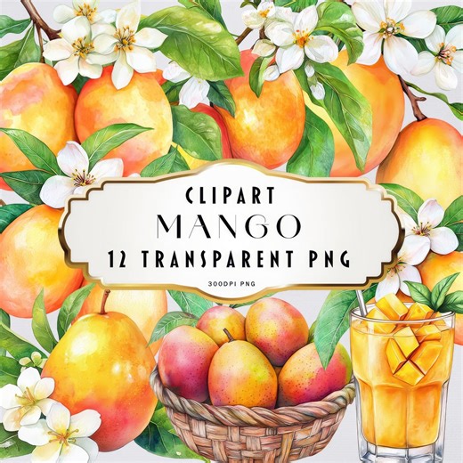 Watercolor Mango Clipart Mango Juice Clip Art Summer Floral Clipart Mango Fruit Clipart Floral Elements Instant Download Commercial Use - Etsy