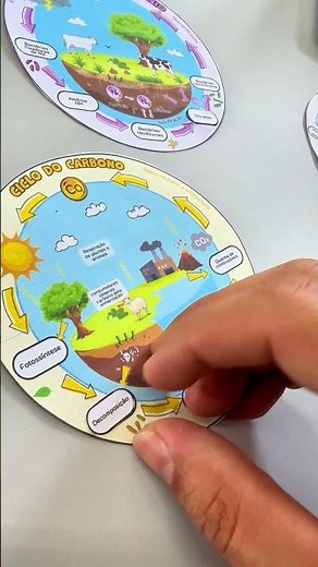 Ciclos biogeoquímico #biologia #professor #diy #escola