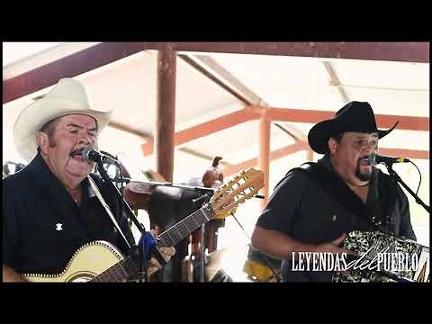 ELISEO ROBLES - EL ARBOL (VIDEO OFICIAL)