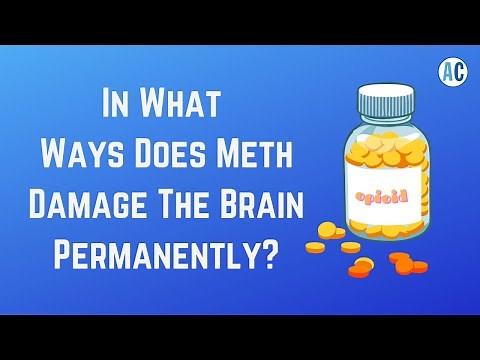 In What Ways Does Meth Damage The Brain Permanently?