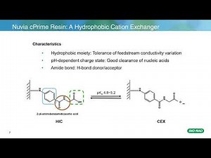 Mixed-Mode Chromatography — Optimizing Target Purity and Recovery with Buffer Additives