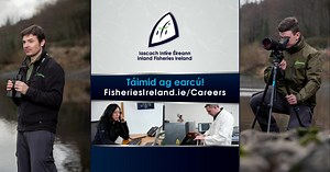 19 reactions · 7 comments | New role at IFI  Head of the Barrier Mitigation Division - re fish, eel, and lamprey migration. More: tinyurl.com/46kaejbp | Inland Fisheries Ireland | Facebook