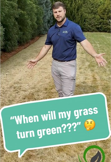 When Does Zoysia Grass Turn Green in Spring?