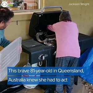 16K views · 138 reactions | PYTHON BARBECUE: What would you do if you opened your barbecue and saw two pythons? Watch what this fearless 81-year-old woman in Australia does! | WIFR TV | Facebook