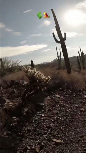 Amazing Ride 🌄 Giant Stance Holding Strong | MTB #shorts