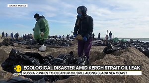 The Kerch Strait oil spill is now a full-scale environmental disaster, with 60 kilometres of coastline getting contaminated Over 3,700 tons of fuel leaked into the Black Sea, and Russian President Putin has called it an 'ecological disaster' Eric Njoka brings you this report | WION