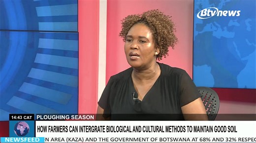 Soil is home to a wide variety of organisms, some beneficial and others harmful to plants. Among them, nematodes serve as key indicators of soil health. While some species help control insect pests, plant-parasitic nematodes, such as root-knot, cyst, and lesion nematodes, cause serious crop damage and yield loss. In Botswana, root-knot nematodes are particularly widespread, affecting crops like tomato, cowpea, and spinach. Their spread is often worsened by monocropping and poor farm hygiene. Eff