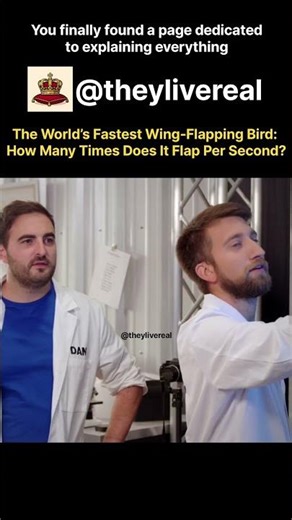 How Many Times Does The World's Fastest Wing flapping Bird Flap Per Second!? #science #nature