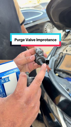 Understanding Charcoal Canister Purge Valve Issues