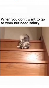 198K views · 3.1K reactions | Buhay Call Center Agent on Reels | Facebook