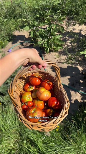 The Less Romantic Side of Off-Grid Living