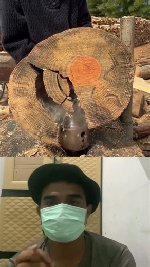 Blink and You Miss It Wood Gone Instantly