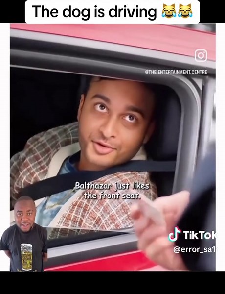 The dog is driving 😹😹#fyp #fypp #fypシ゚ #mzamsicomedy #creatorsearchinsight #movie #movieclips #moviescene