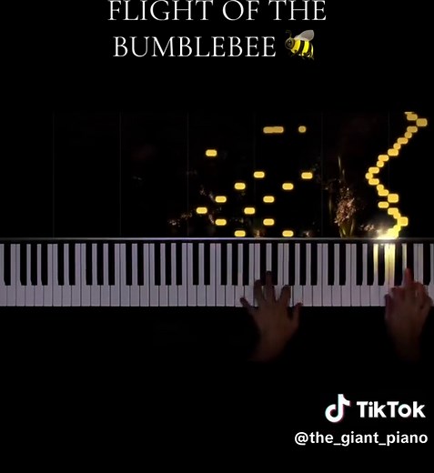 Flight of the Bumblebee Piano Challenge Revealed