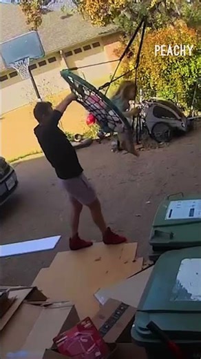 How did Dad mess this up?! 👀 #swing #fails #funny #CCTV #shorts