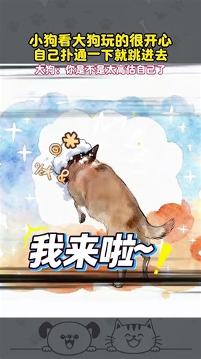 The little dog itches when it sees people defecating. Jiuge #This dog has really become a