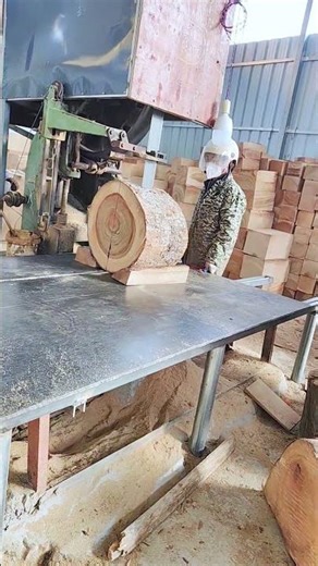 Lumber Mill: Precision Cutting a Large Log with a Vertical Band Saw