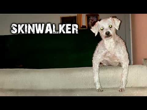 MEU CACHORRO ROSNA PARA SKINWALKERS!