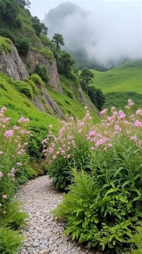 4K Relaxing Nature Scenery: Pink Flower Path & Misty Mountains (2026) #shorts