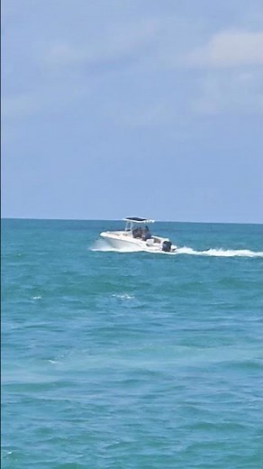 Boat Racing Through the Gulf of America | High Speed Boating Action