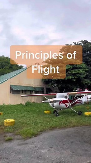 Principles of Flight Explained: Components and Forces