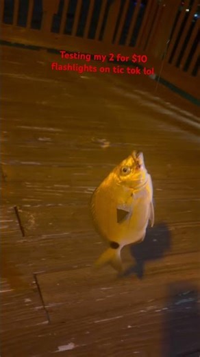 HANGING ON ISLAND#FISHING AND EATING THE FISH WE CAUGHT#TESTING A TIC TOK FLASHLIGHTS#HAVING FUN