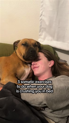 Calm Mornings with Dogs: Co-Regulation Techniques