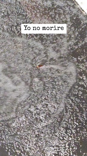 Yo No Moriré - Gohan's Last Stand Against 2 Androids