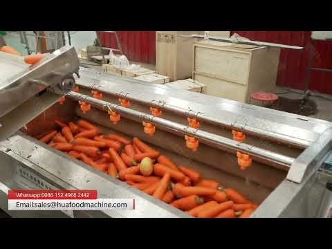 Automatic Carrot Washing Machine With Brush Roller