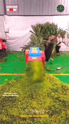 Amazing Heavy Duty Chaffcutter Machine