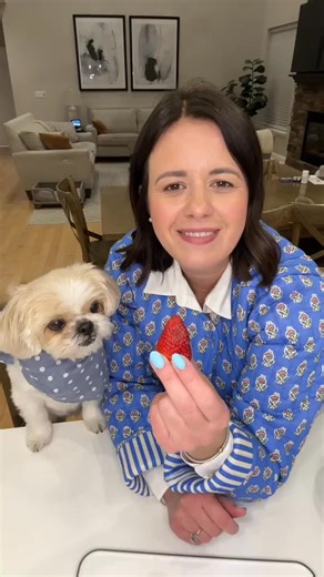 Strawberry banana no bake dog treats. Recipe 1 cup chopped strawberry’s 1 1 2 cup oats 1 mashed banana 1 tsp cinnamon 1 2 cup peanut butter #shihtzu #dogtreats #dog #pet #dogsoftiktok #fblifestyle | Thatdogstella