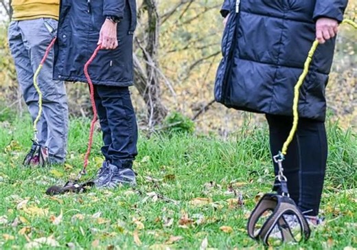 Del auge de los 'therians' al fenómeno del 'hobby dogging': la curiosa tendencia de pasear 'perros invisibles' que crece en Alemania | El Comercio: Diario de Asturias