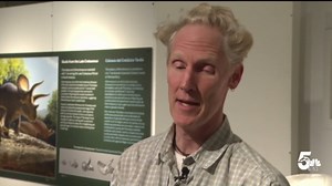 'Historically thrilling' discovery made under Denver Museum of Nature & Science