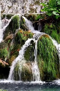 123K views · 11 reactions | the wonderful beauty of nature | Amazing Land | Facebook