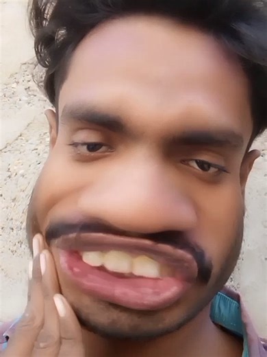 Understanding Rat Behavior: Myths and Realities