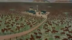 14-Drag-A-Long Droopy - Richi