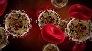 Download Visualization Of HPV Virus With Red Blood Cells blood flow biomedical animation for free