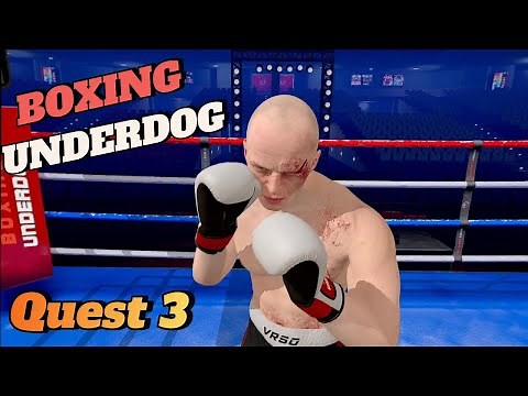 Boxing UnderDog // This VR Game Pulls No Punches