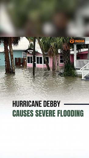 47 reactions · 15 shares | Watch | Hurricane #Debby causes severe flooding and wind damage in #Florida towns. | DD India | Facebook