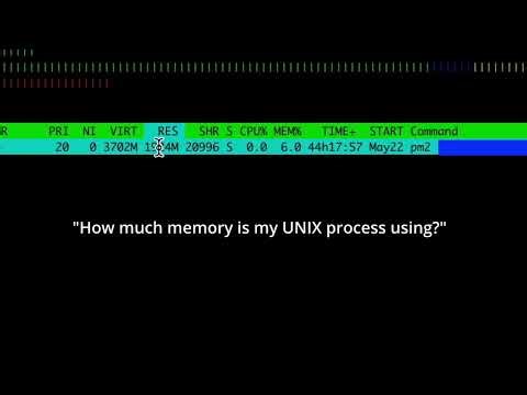 How to view memory usage of a single process in UNIX systems?