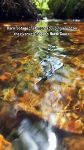 1.2K reactions · 79 shares | Before you ask: No, we’re not becoming...