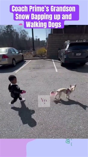 Coach Prime’s Grandson Snow Dapping up and Walking Dogs