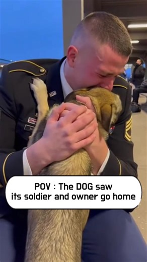 Heartwarming Dog Welcomes Soldier Home
