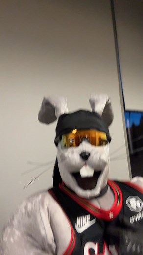 the original bad bunny is back !! 🐰 | Philadelphia 76ers