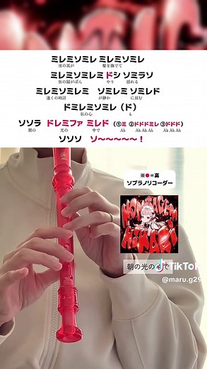 朝の光の中でソプラノリコーダー演奏