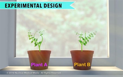 【中英字幕】16 Controlled Experiments 对照实验