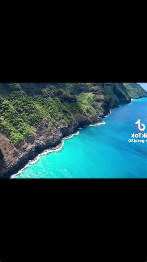 🚨Honolulu 🌺🌊🥥 Hawaii Helicopter Tours 🚨| Book A Private Helicopter Tour Over Honolulu 🚁Hawaii 🏝️ & Receive 10% Off On A Ride Service 🚐#helicopter #honolulu #tiktok #viralvideo #hawaii