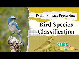 Python Image Processing Project - Bird Species Classification - ClickMyProject