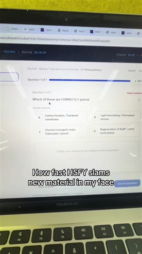 Boost Your Study Game with Effective Tutoring Tips